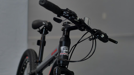 WolfKing Bike - Visual