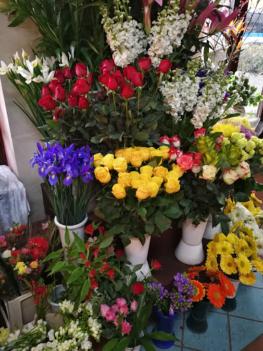 I Fiori di Mister Lello - Thumbnail