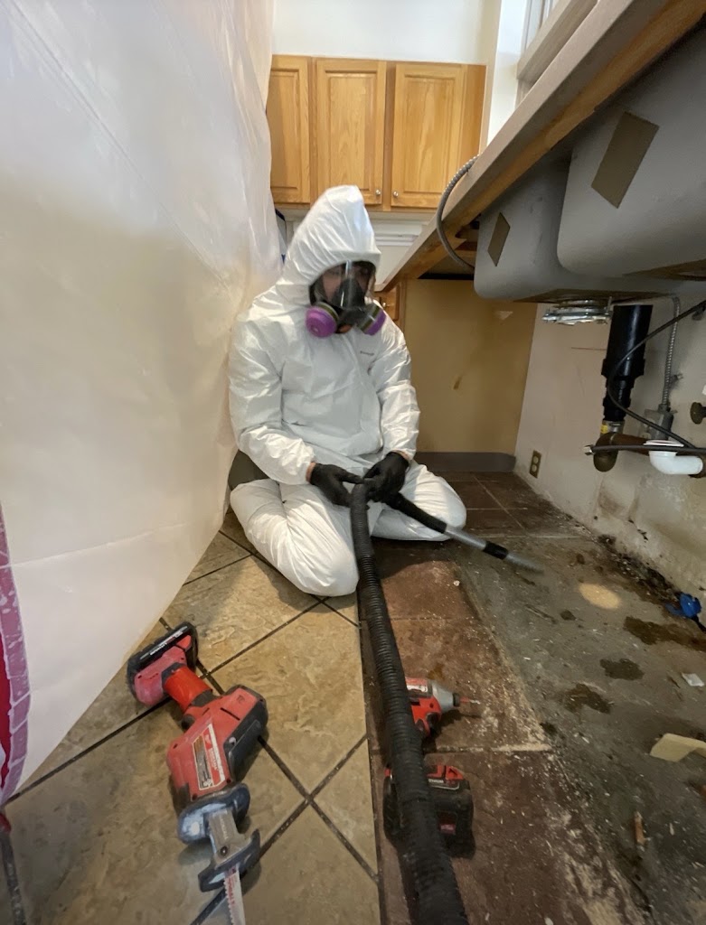 All Phase Restoration photo
