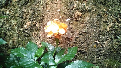 Photos of Kurupanawa Temple