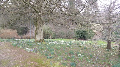 Photos of Dunmore Gardens