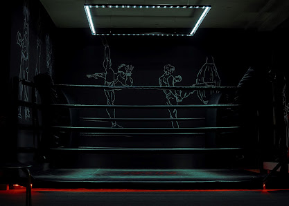Boxing Fever Wielandgasse 11, 8010 Graz, Österreich