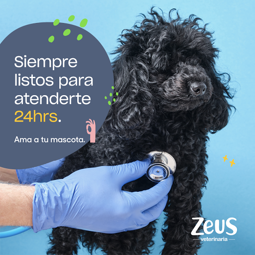 ZEUS Clínica Veterinaria - Suc. San Miguelito