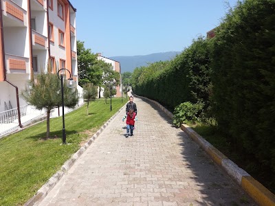 Photos of Şehitler Ve Gaziler Parkı