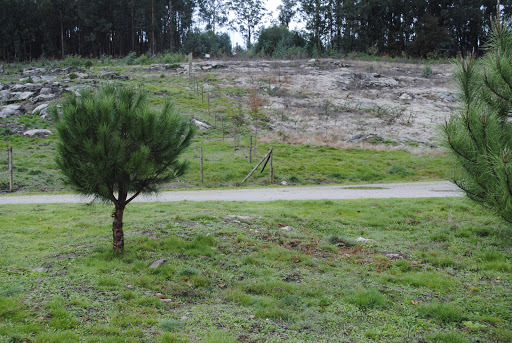 Base General Morillo - Visual