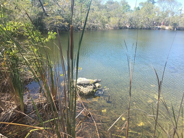 Blue Hole Observation Platform