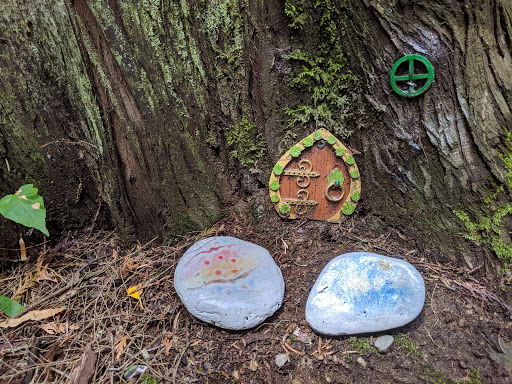 Enchanted Forest Trail - Thumbnail