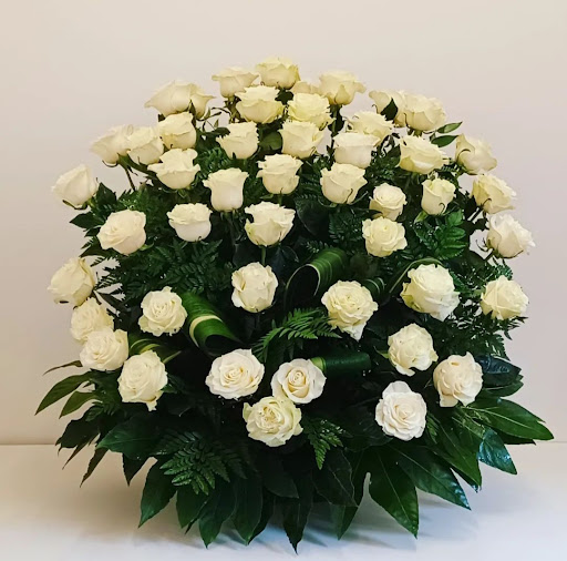 Borboni Fiori e Piante - Thumbnail