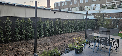 Prosman Planten Gallery - Netherlands