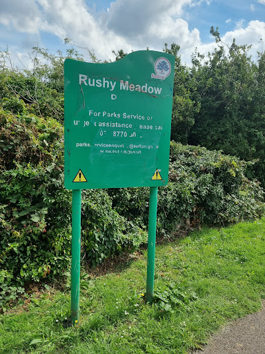 Rushy Meadow - Thumbnail