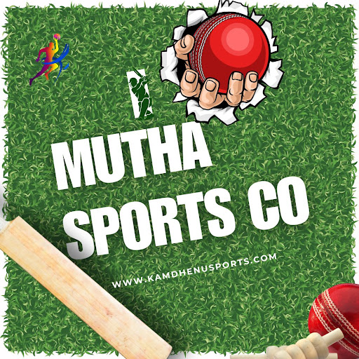 English Willow vs. Kashmir Willow Cricket Bats: Which One Should You Choose?