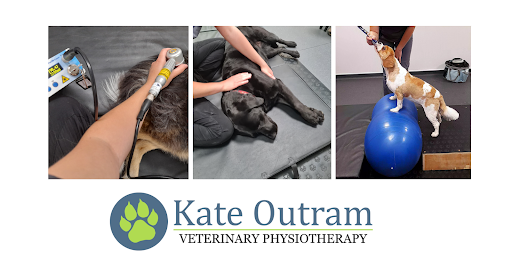 Kate Outram Veterinary Physiotherapy