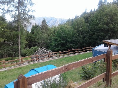 YolkiPalki CAMPING VILLAGE