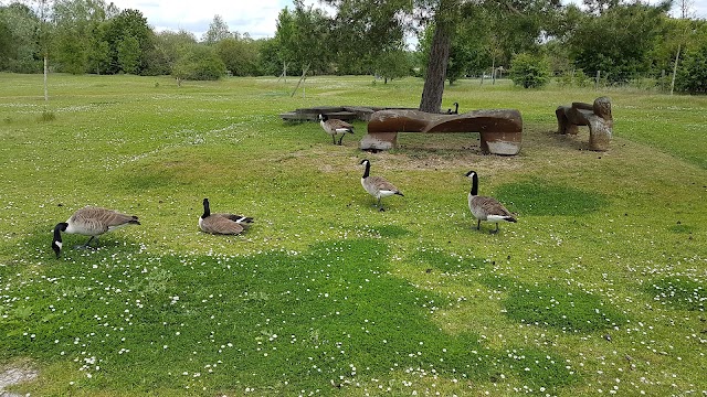 Parc Départemental de la Boucle de Montesson