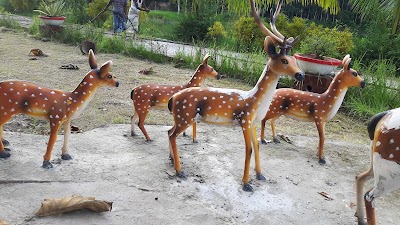 Photos of Noakhali Dream World Park