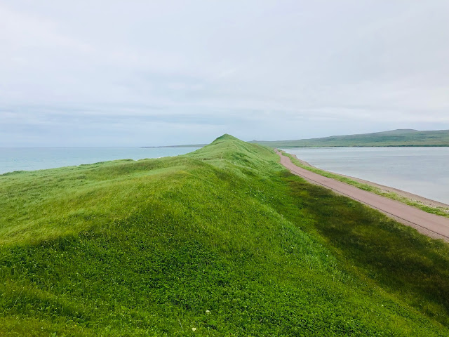 Au P'tit Kakawi by null