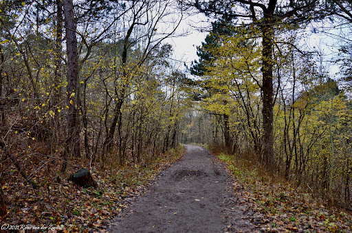Kachelduin route - Staatsbosbeheer - Thumbnail