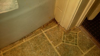 Photos of Palace Inn Motel