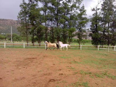 Photos of Equizette Horse center and riding school.