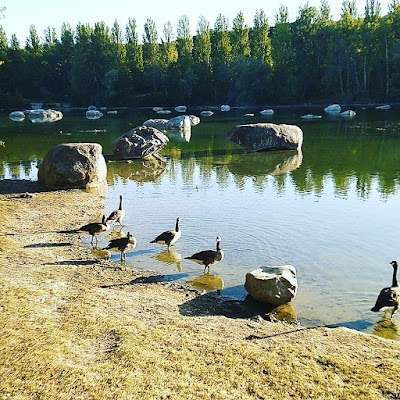 Lac De Samoreau