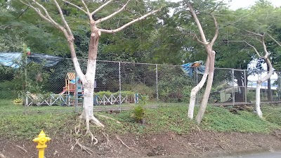 Photos of El Bosquecito Park