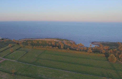 Universo Ferris x Rafa Bernabé