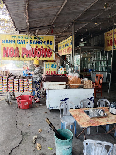 CSXS Bánh Gai Hoa Phượng