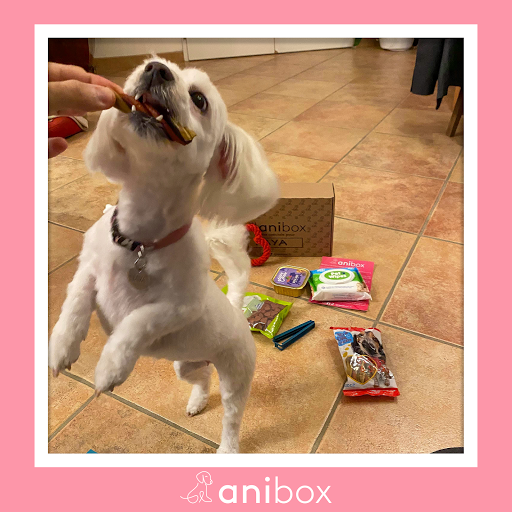 anibox - Visual