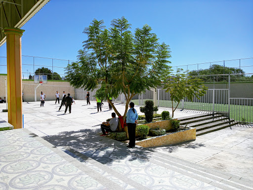 Colegio Progreso - Visual