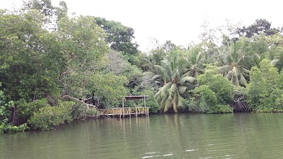 Photos of Sri Tharunodayaramaya & Wimalasiri Buddhist school
