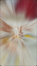 Photo n°71 de Showcolat à Paris (Salon de thé)