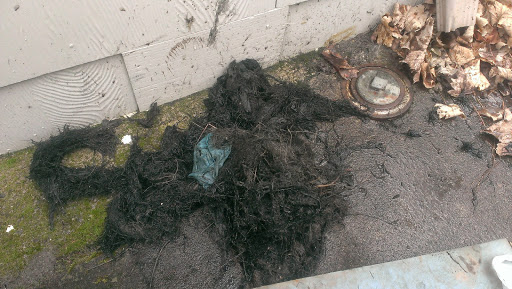 AAA Drain Cleaning - Visual