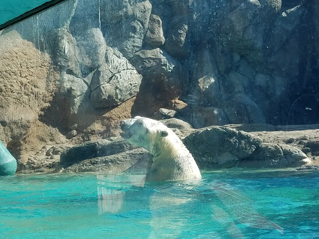 North Carolina Zoo