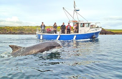 Photos of Dingle Ahoy