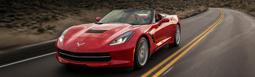 Allvette LLC - Visual