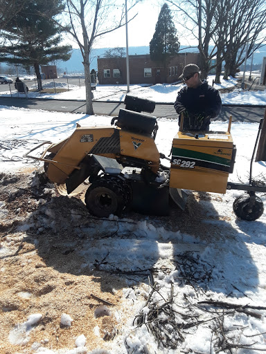 Mandak Tree Services - Visual