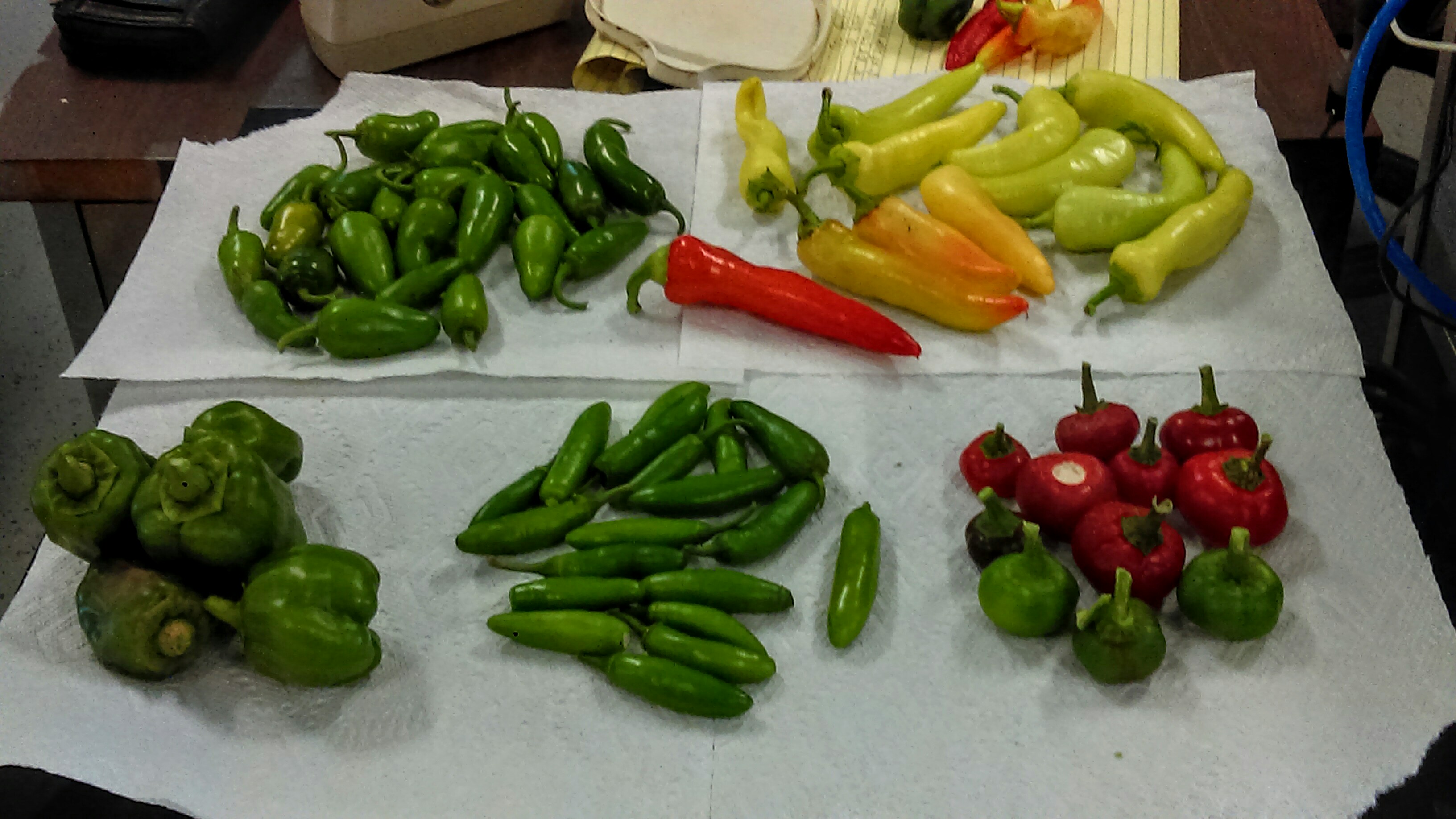Green Thumb Hydroponic Supplies