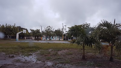 park