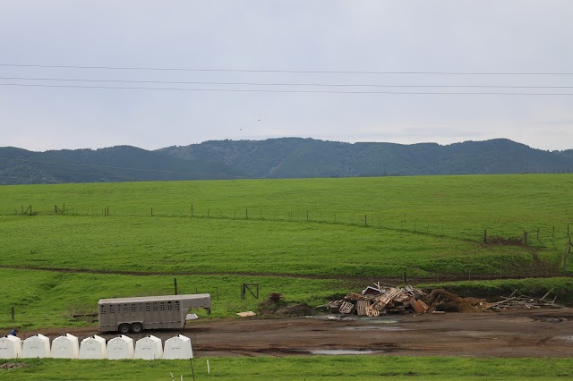 Point Reyes Farmstead Cheese Co