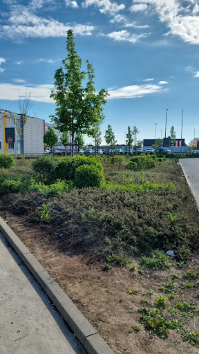 NORMA Logistics Center - Thumbnail