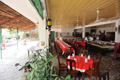 Photos of Hippocampe