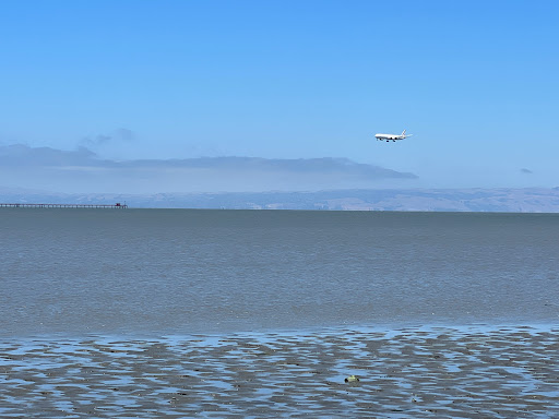 City of Burlingame Shorebird Sanctuary - Thumbnail
