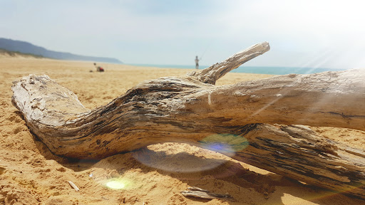 Lakes Entrance Massage Therapy - Thumbnail
