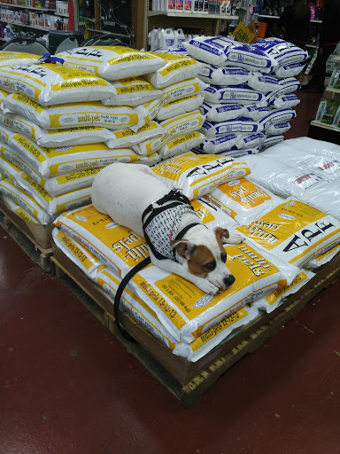AG-Mart - Visual
