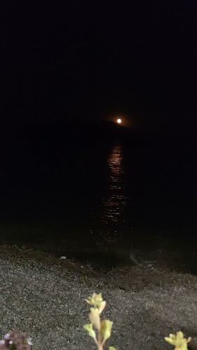 Αξιολογήσεις για το Paralia Restaurant στην Κερατσίνι - Εστιατόριο