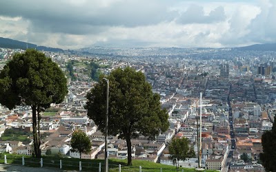 Photos of Forest Panecillo