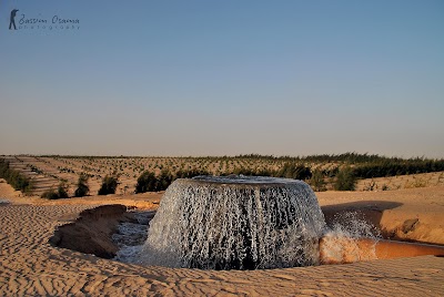 Photos of الانوار
