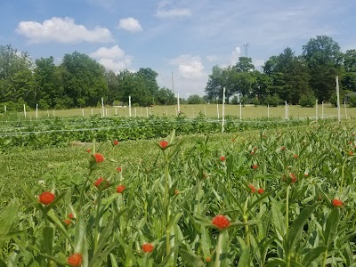 Fresh Cut Farm