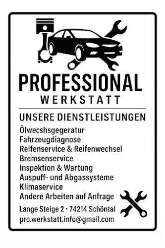 Professional Werkstatt