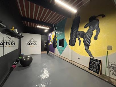 C. T. Arte Luta